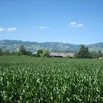 Farm stay Steigmatt Bauernhof- Erlebnis *