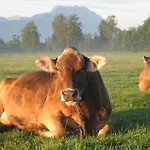 Farm stay Steigmatt Bauernhof- Erlebnis *