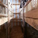 Farm stay Steigmatt Bauernhof- Erlebnis Montlingen