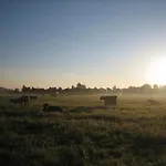 Farm stay Steigmatt Bauernhof- Erlebnis *
