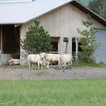 Farm stay Steigmatt Bauernhof- Erlebnis *