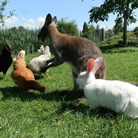 Vakantieboerderij Steigmatt Bauernhof- Erlebnis