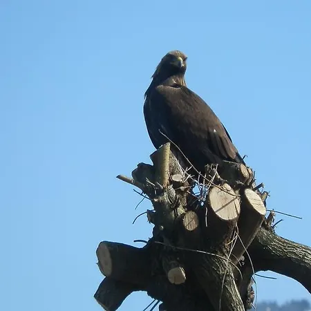 Steigmatt Bauernhof- Erlebnis Bauernhof