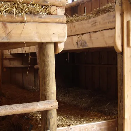 Steigmatt Bauernhof- Erlebnis Farm stay