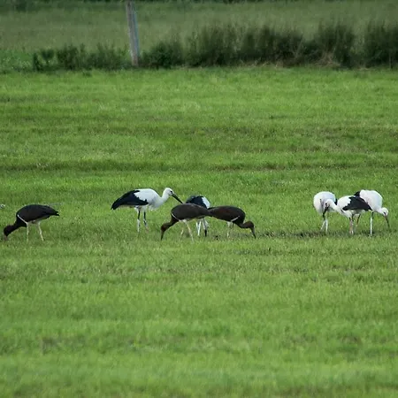 Steigmatt Bauernhof- Erlebnis