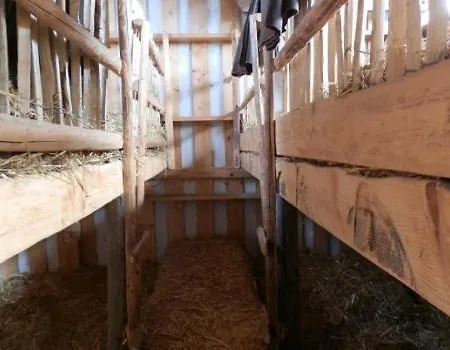 Gospodarstwo agroturystyczne Steigmatt Bauernhof- Erlebnis Montlingen