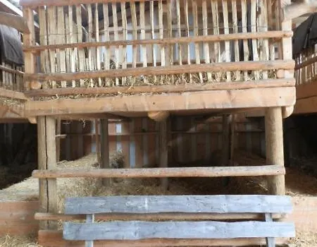 Steigmatt Bauernhof- Erlebnis Gospodarstwo agroturystyczne Montlingen