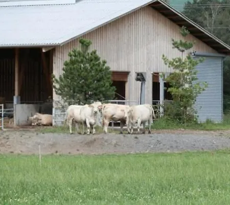 Vakantieboerderij Steigmatt Bauernhof- Erlebnis *
