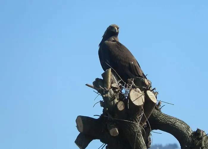 Steigmatt Bauernhof- Erlebnis Gospodarstwo agroturystyczne