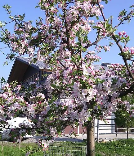Steigmatt Bauernhof- Erlebnis