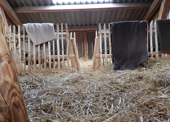 Steigmatt Bauernhof- Erlebnis