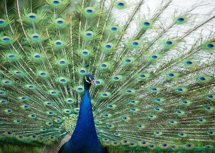 Alojamento de Turismo Rural Steigmatt Bauernhof- Erlebnis Montlingen