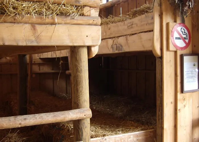 Steigmatt Bauernhof- Erlebnis Gospodarstwo agroturystyczne