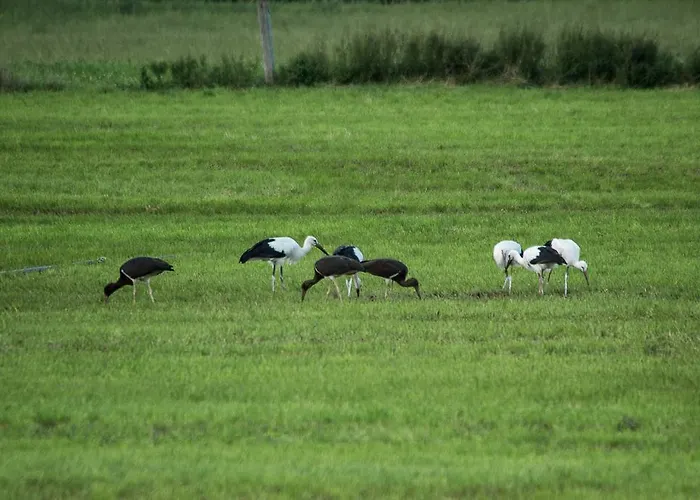 Steigmatt Bauernhof- Erlebnis