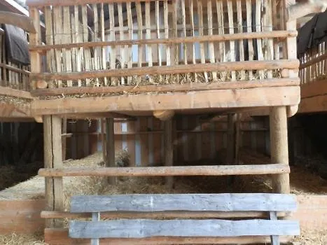 Steigmatt Bauernhof- Erlebnis Gospodarstwo agroturystyczne Montlingen