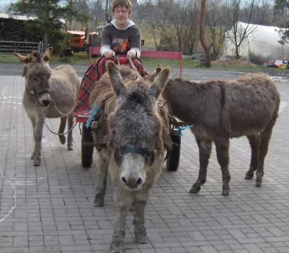 Steigmatt Bauernhof- Erlebnis * Montlingen