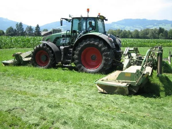 Steigmatt Bauernhof- Erlebnis Montlingen