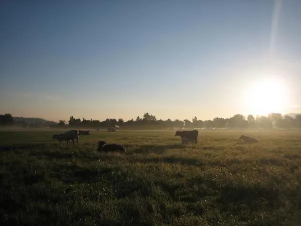 Gospodarstwo agroturystyczne Steigmatt Bauernhof- Erlebnis *