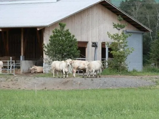 Farm stay Steigmatt Bauernhof- Erlebnis *