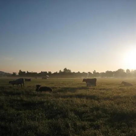 Agroturismo Steigmatt Bauernhof- Erlebnis *